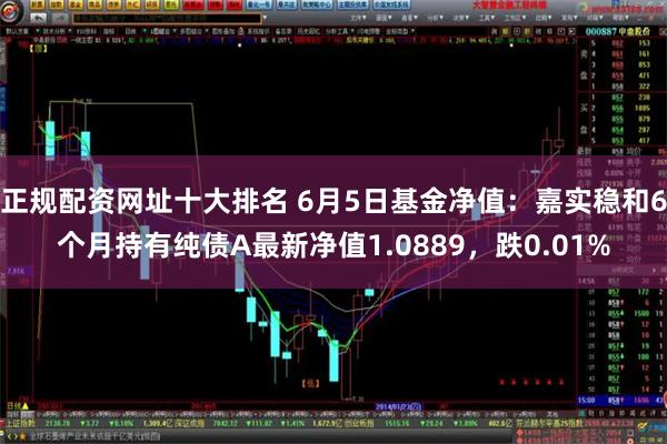 正规配资网址十大排名 6月5日基金净值：嘉实稳和6个月持有纯债A最新净值1.0889，跌0.01%