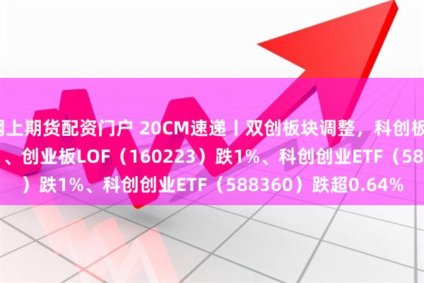 网上期货配资门户 20CM速递丨双创板块调整，科创板100ETF（588120）、创业板LOF（160223）跌1%、科创创业ETF（588360）跌超0.64%