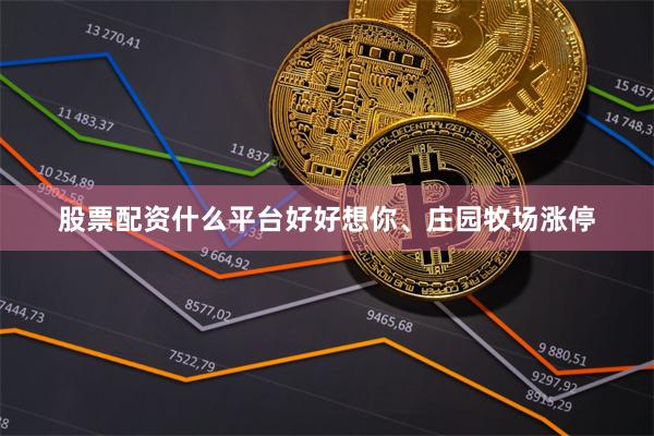 股票配资什么平台好好想你、庄园牧场涨停