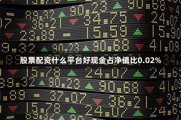 股票配资什么平台好现金占净值比0.02%