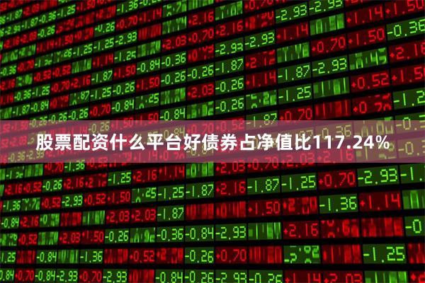 股票配资什么平台好债券占净值比117.24%
