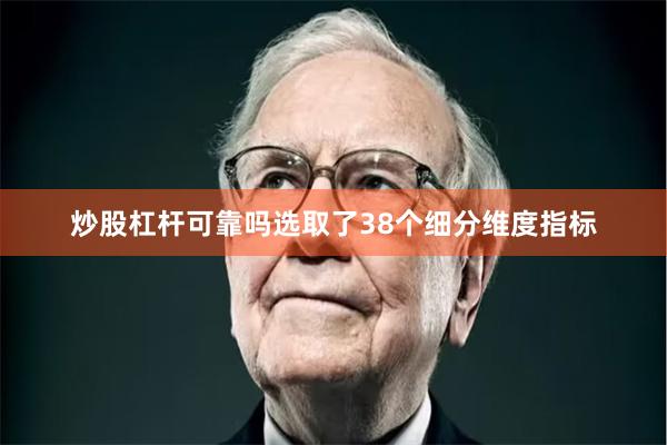 炒股杠杆可靠吗选取了38个细分维度指标